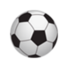 坎波弗洛里多logo